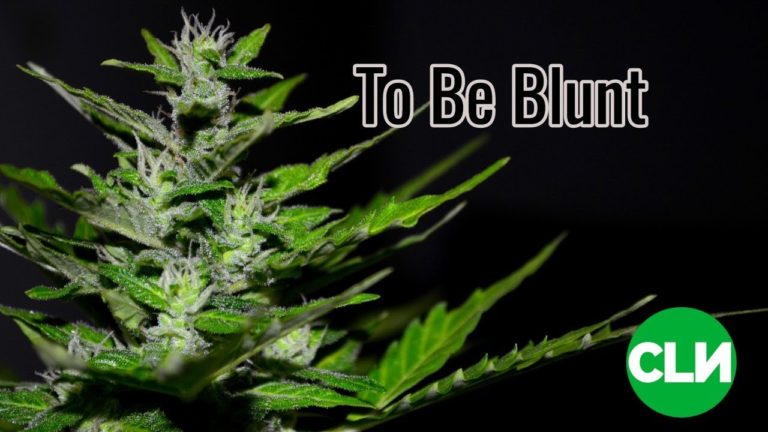To Be Blunt - Chicago Reader - Lisa Solomon Mann