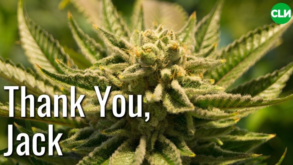 Thank You Jack Herer - 10th Anniversary of Passing