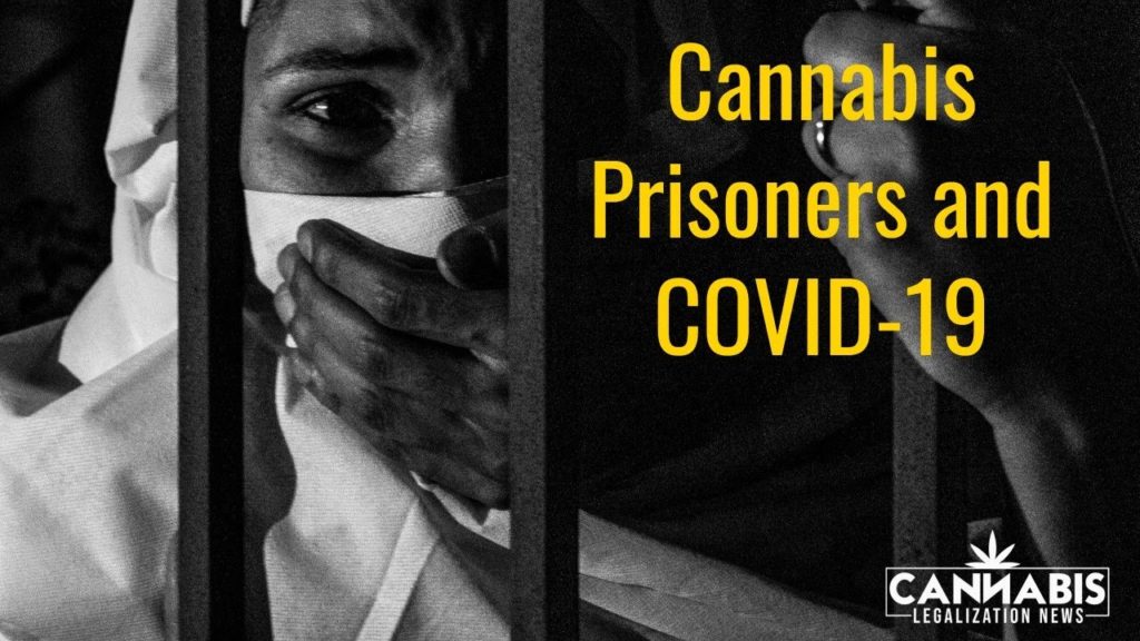 Pot Prisoners and COVID-19