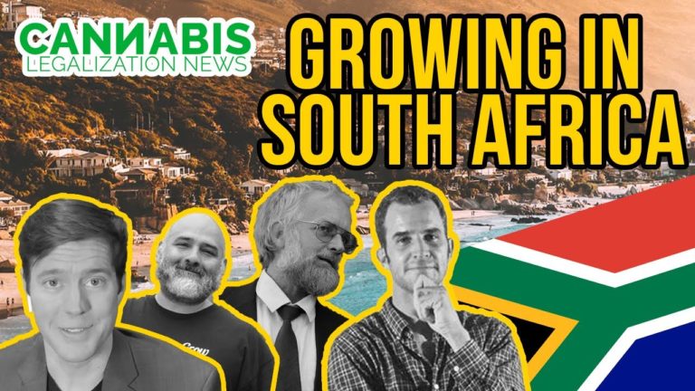 Growing Legal Cannabis in South Africa