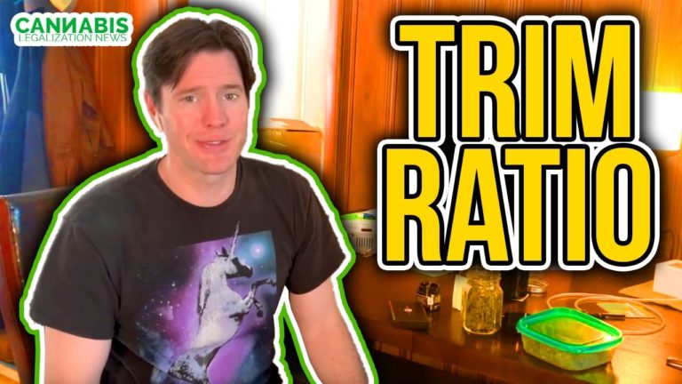 Trim Ratio - How much trim to nugs in your cannabis harvest?