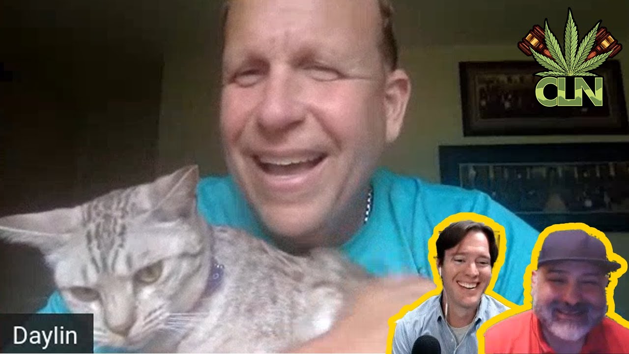Cat interrupts State Senator zoom meeting about coronavirus and cannabis legalization