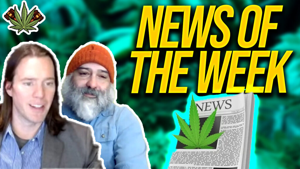 cannabis news