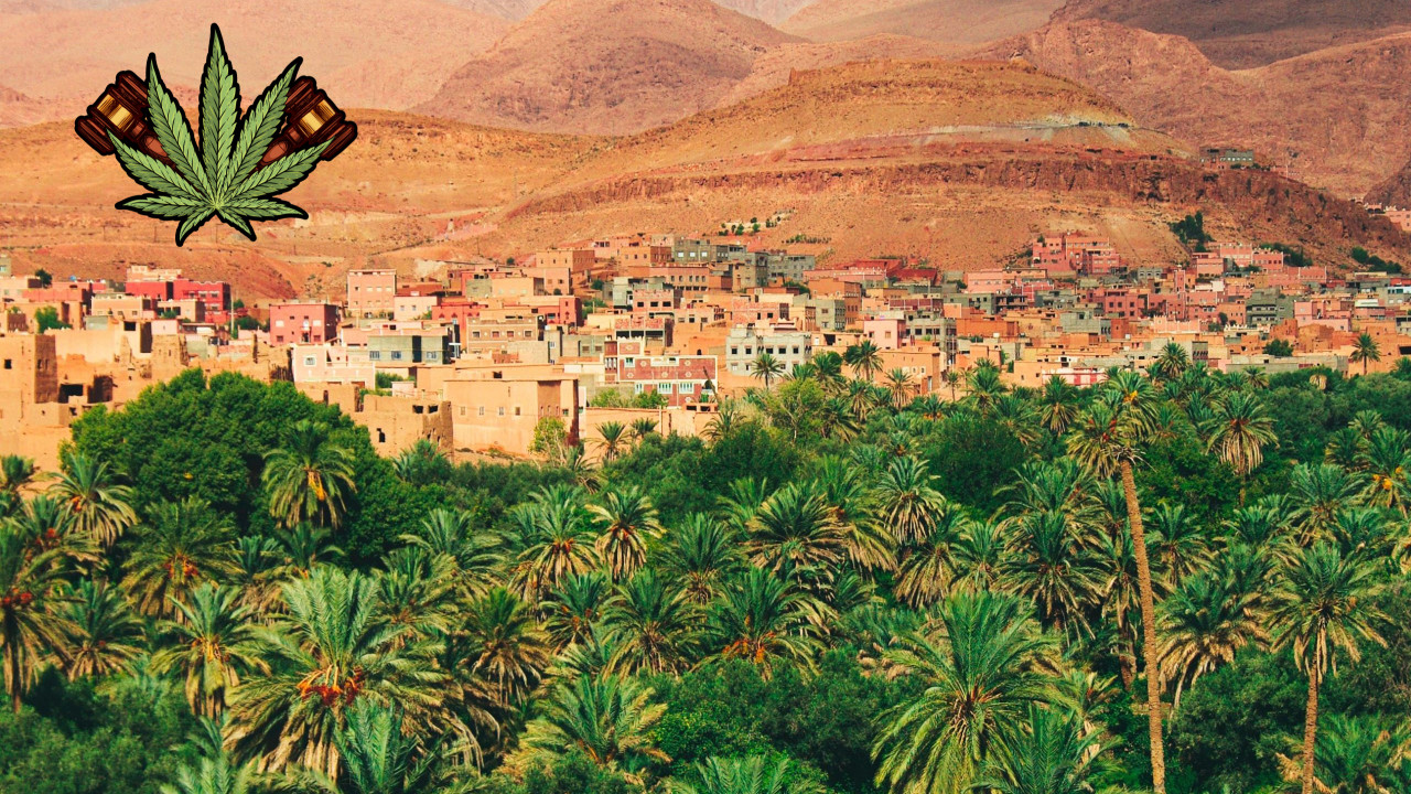 Morocco prevents the exploitation of legal cannabis for illegal purposes