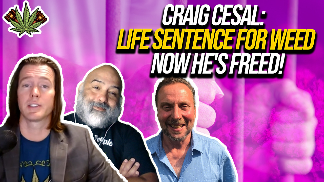 Craig Cesal