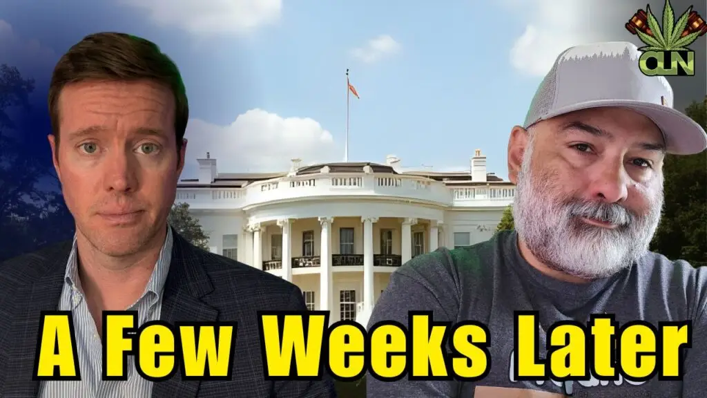 cannabis legalization news