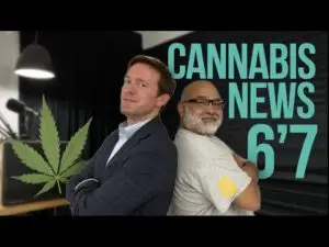 6–7 Cannabis Legalization News
